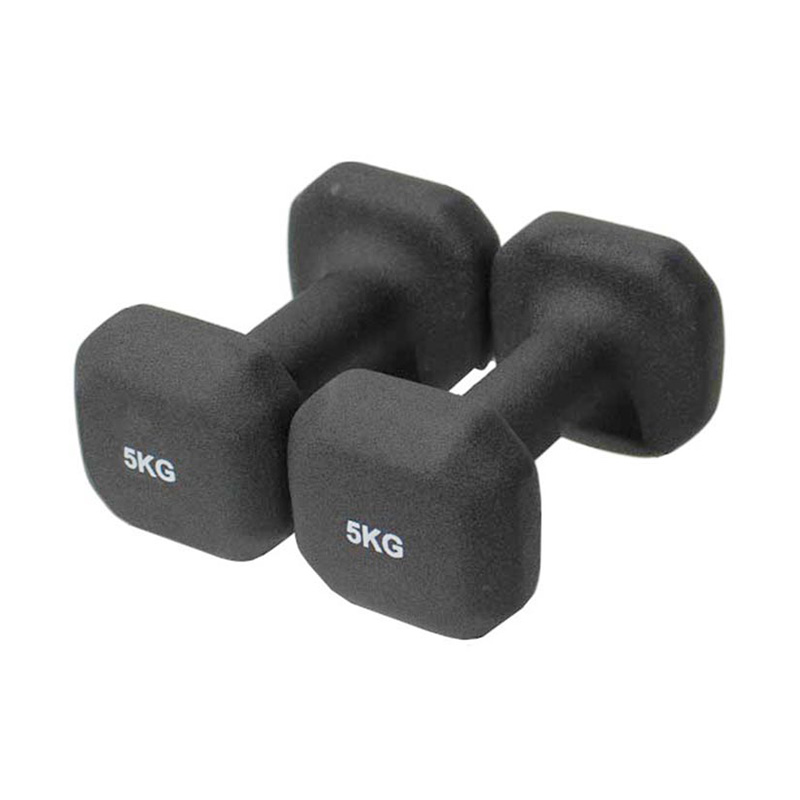 Nigrum Asper Vinyl Dipped Dumbbell
