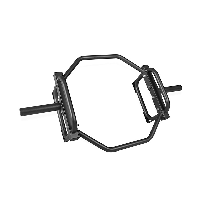 Laeta Barbell Bar Pone Fortitudo Workout