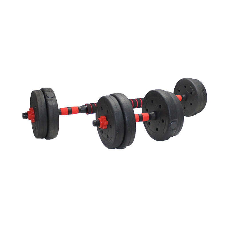 Chip repugnans Exercise Kettlebell